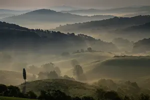 Amazing Prints: Guardistallo, Tuscany, Italy