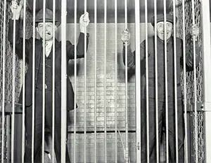 Cage Prints: Guilty Drunken Drivers in Lion's Cage