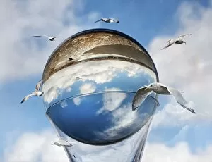 Glass Material Gallery: Gulls circumnavigating the world