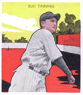 Arc0012794 Prints: Gum Card Of Bud Tinning