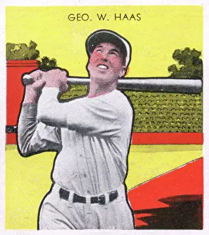 Gum Card Of Mule Haas