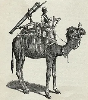 Gun Atop Camel In India