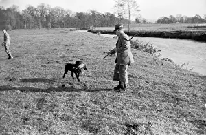 Carcass Prints: Gun Dog