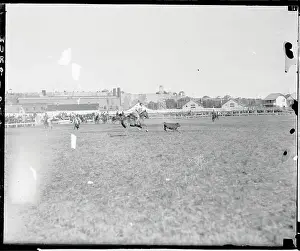 Calgary Prints: Gunner Pierson Roping Calf