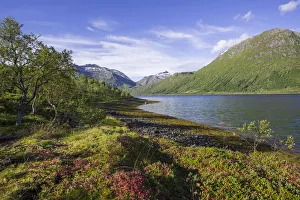 Images Dated 2nd September 2012: Gunnesfjord, Troms, Norway