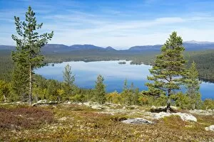 Images Dated 14th September 2014: Gutulisjoen, Gutuli Lake, Gutulia National Park, Engerdal, Hedmark, Norway