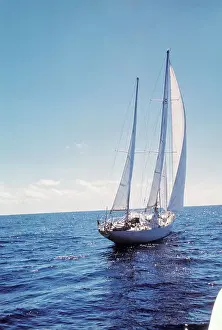 The Gypsy Moth IV