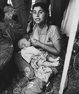 Romany Prints: Gypsy Woman Breast-Feeding Child