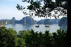 Ha Long Bay Prints: Ha Long Bay, Vietnam