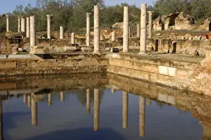 Classical Prints: Hadrianic Baths, Leptis Magna, Roman Ruins, Libya