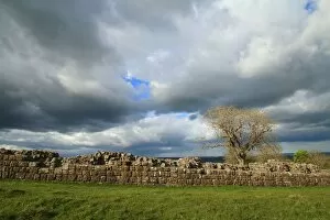 Images Dated 18th May 2016: Hadrians wall in England, near Black carts turret