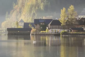 Images Dated 9th October 2014: Hallstatt in a Fog with Sunlight, Reflection and Duck