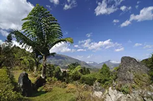Ham Rong Mountain, Dragon Jaw Mountain, Sapa, Vietnam, Asia