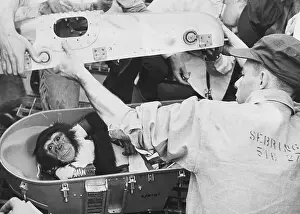 Nasa Prints: Ham The Space Chimp After Space Flight