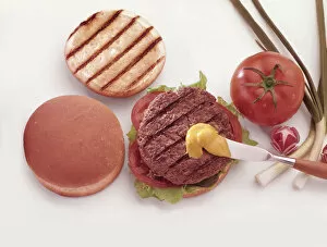 Images Dated 15th September 2009: Hamburger & Mustard