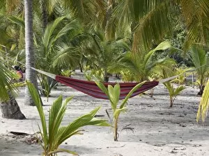 Hammock under the palm trees, Playa Carryllo, Nicoya Peninsula, Costa Rica, Central America