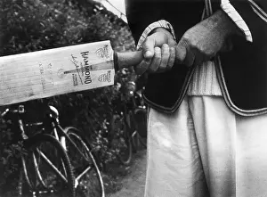 Hammond's Bat