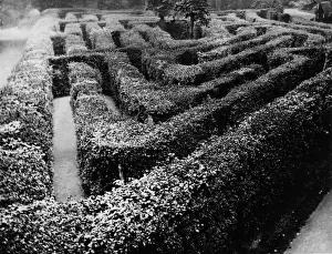 Hampton Maze