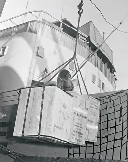 Hams Being Sent to Britain