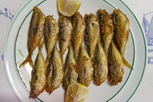 Images Dated 1st September 2014: Hamsi, fried anchovies, Black Sea Region, Turkey