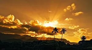 Palm Tree Gallery: Hanalei Bay Sunset over Palm Trees Kauai Hawaii