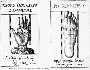 Measuring Prints: Hand & Foot Measurements--Wood Engraving