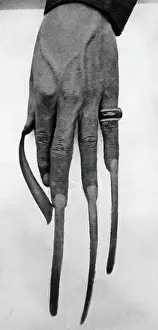 Ring Prints: Hand with Long Fingernails