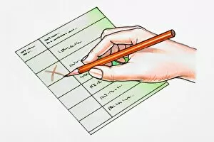 Images Dated 4th February 2008: Hand making cross on ballot paper