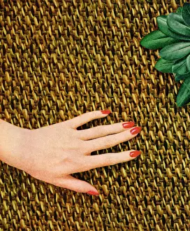 Hand of a Woman
