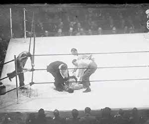 Defeat Prints: Handlers Picking up Boxer