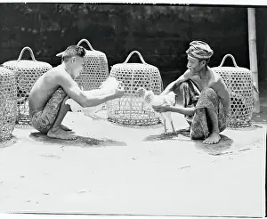 Bali Prints: Handlers Restraining Cocks Before Fight