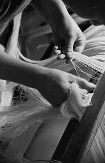 Roles And Occu Prints: Handling Flax