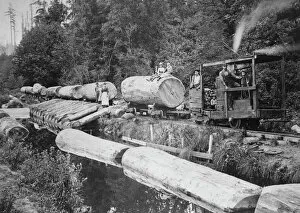 Engine Gallery: Handmade Logging Train