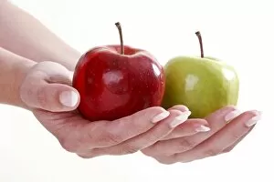 Images Dated 15th June 2009: Hands holding red and green apple