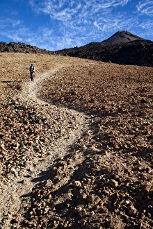 Images Dated 23rd December 2012: Happy hiker descending from the Teide volcano