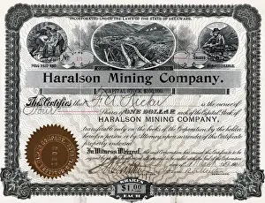 Handwriting Prints: Haralson Mining Company Stock Certificate