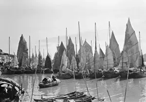 Harbor of Chinese Boats