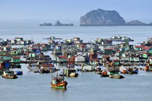 Southeast Prints: Harbour of Cat Ba, Halong Bay, Vietnam, Southeast Asia