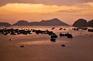 Southeast Prints: Harbour of Cat Ba, Halong Bay, Vietnam, Southeast Asia