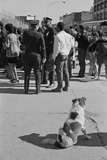 Huty23993 Prints: Harlem Gathering