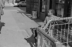 Harlem Street