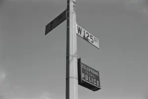 Street Sign Prints: Harlem Street Sign