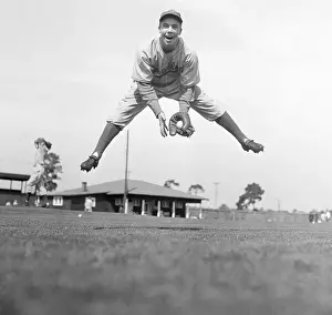 Infielder Prints: Harold Peewee Reese Practicing in Action