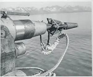 Whaling Prints: Harpoon Gun