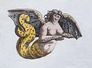 Images Dated 3rd July 2017: Harpyie, handcoloured copper engraving from Friedrich Justin Bertuch Picture book for children