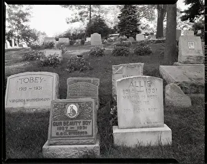 Grave Marker Prints: Hartsdale Canine Cemetery