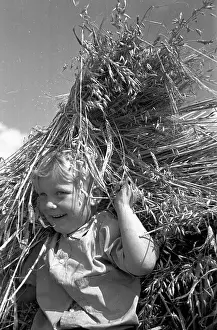 Cultivated Plants Prints: Harvest Fun