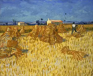 Summer Landscape Prints: Harvest In Provence