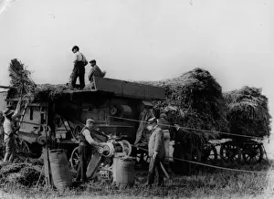 Machinery Machinery Roles Prints: Harvest Threshing