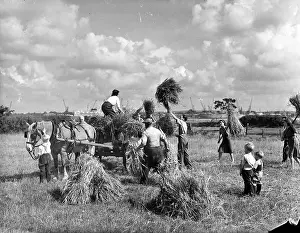 Haystack Prints: Harvest Time